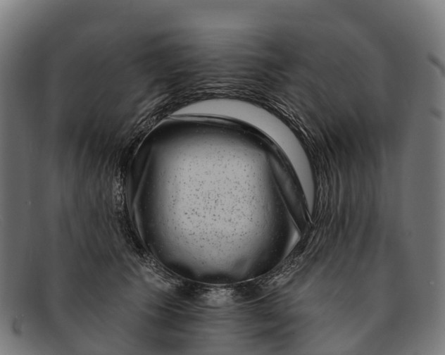 X0000091670609200709131530