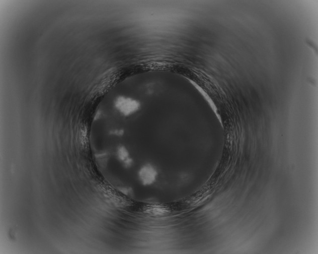 X0000091670610200709131530