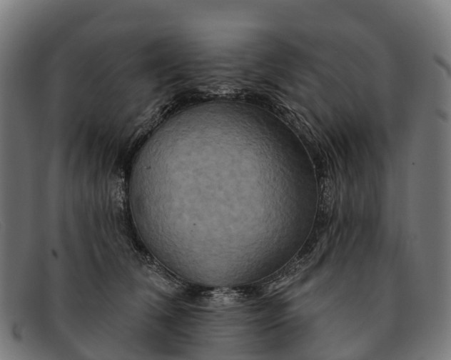 X0000091670612200709131530