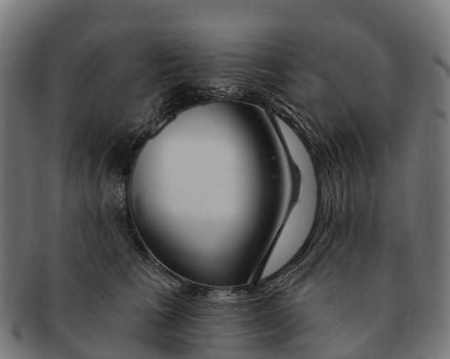 X0000091670613200709131530