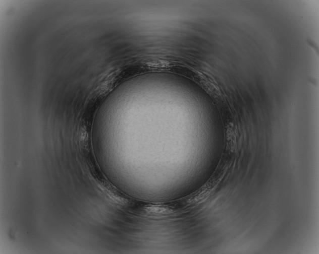 X0000091670614200709131530