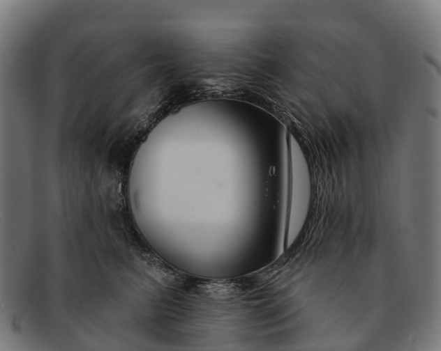 X0000091670615200709131530