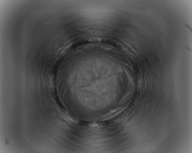 X0000091670616200709131530