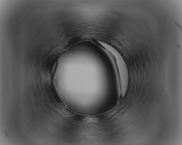 X0000091670617200709131530