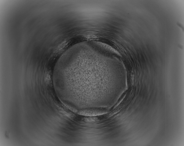 X0000091670618200709131530