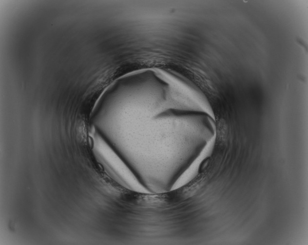 X0000091670622200709131530