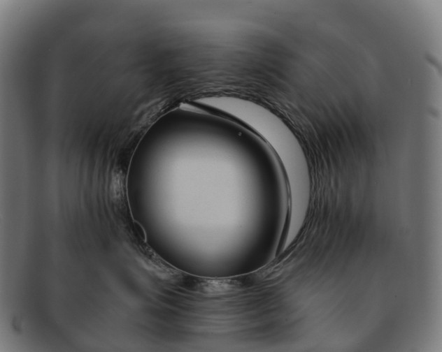 X0000091670623200709131530