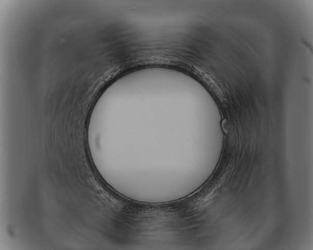 X0000091670625200709131529