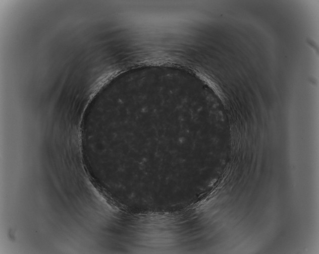 X0000091670626200709131529