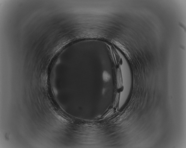 X0000091670627200709131529