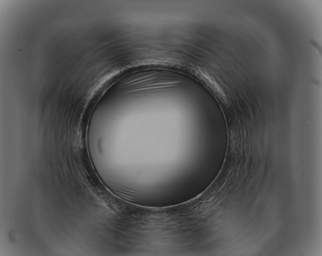 X0000091670628200709131529