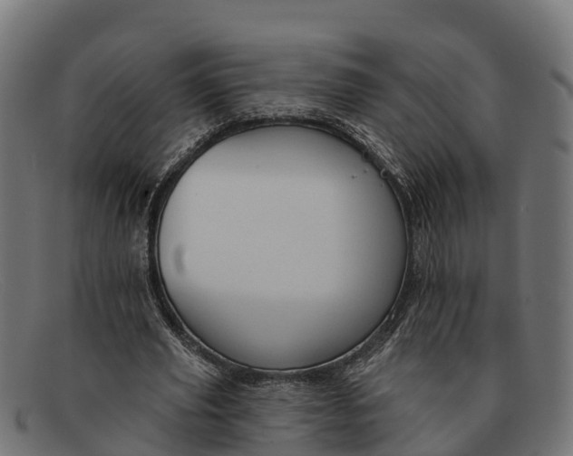 X0000091670629200709131529