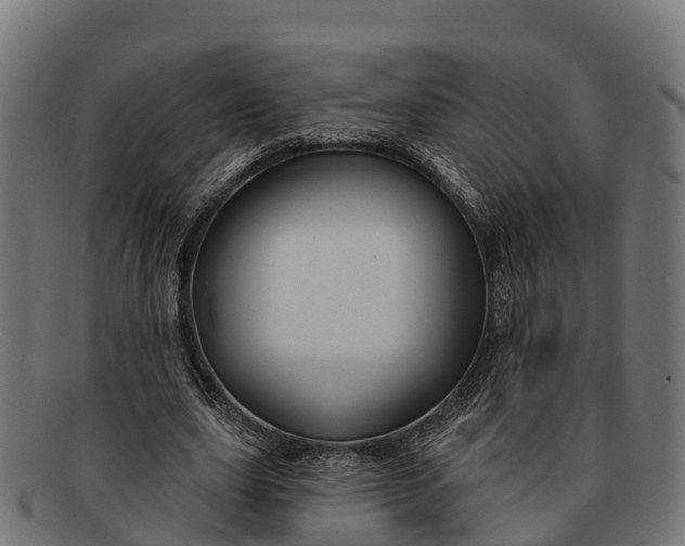 X0000091670631200709131529