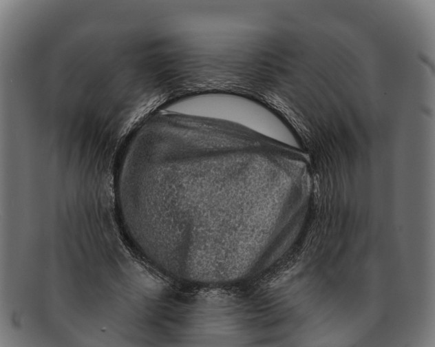 X0000091670634200709131529