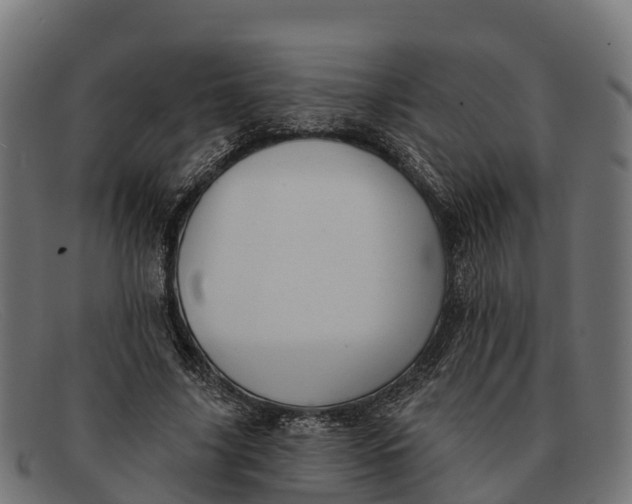 X0000091670635200709131529