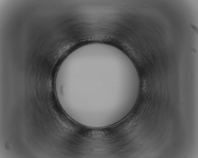 X0000091670636200709131529