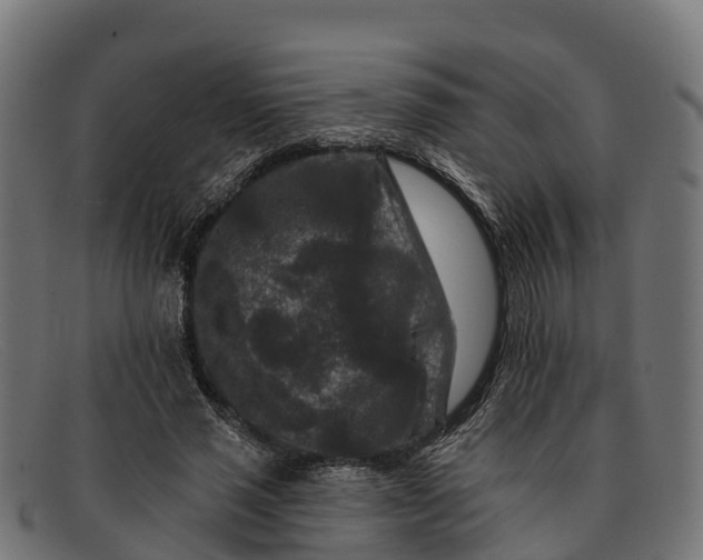 X0000091670637200709131529