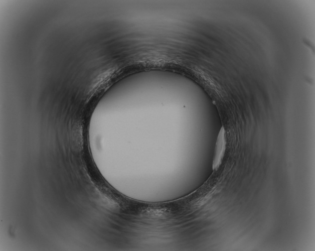 X0000091670638200709131529