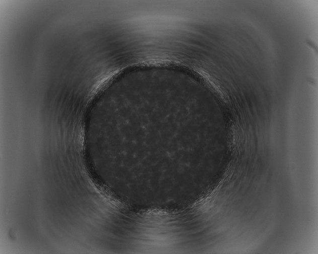 X0000091670640200709131529