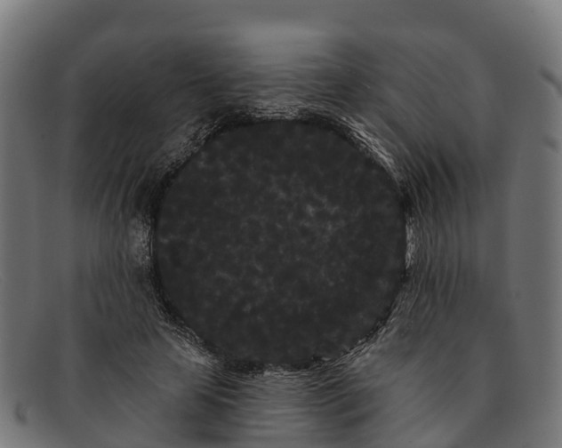 X0000091670641200709131529