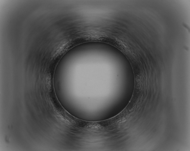 X0000091670642200709131529