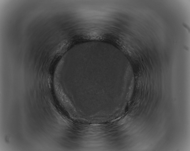 X0000091670643200709131529