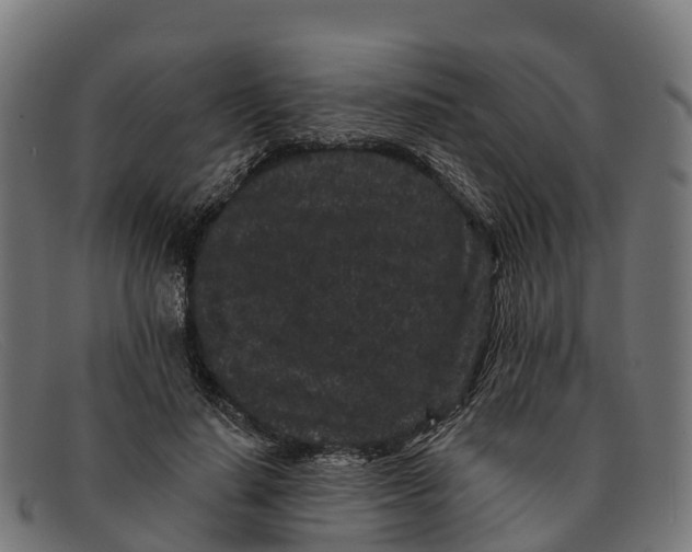 X0000091670644200709131529