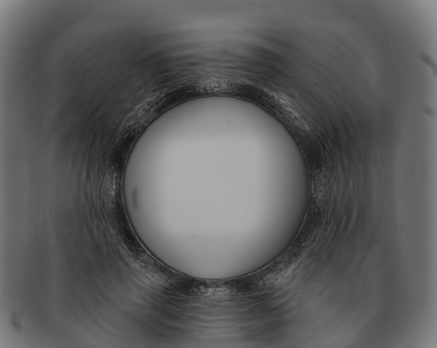 X0000091670645200709131529