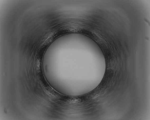 X0000091670646200709131529