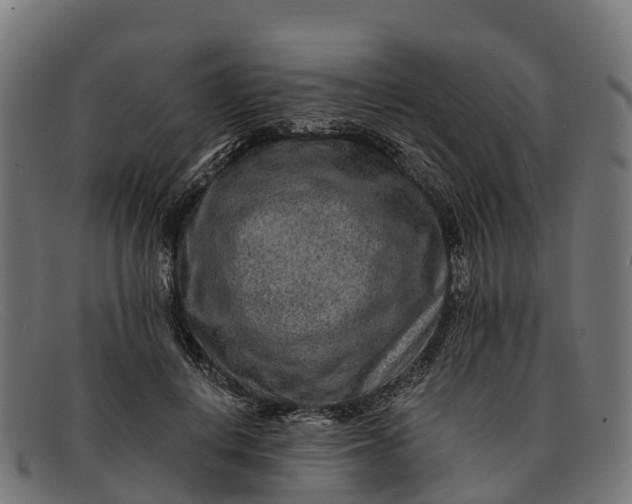 X0000091670648200709131529