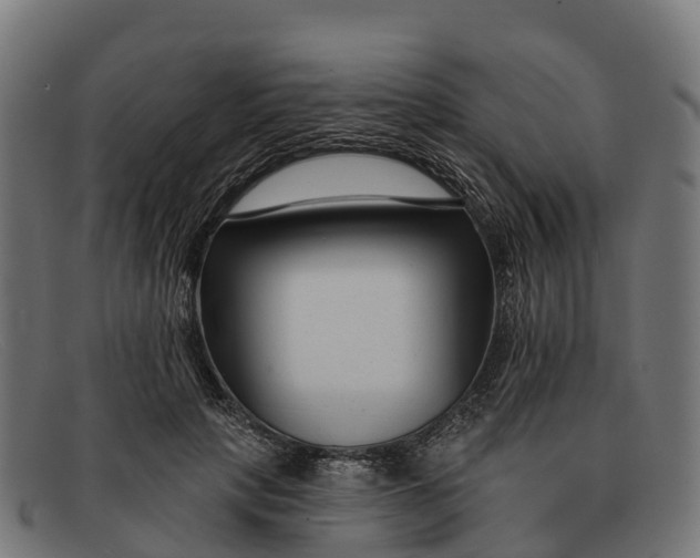 X0000091670649200709131529