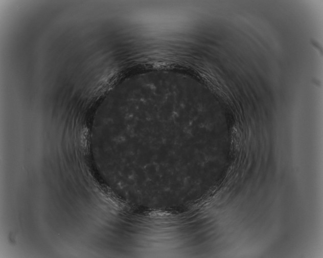 X0000091670650200709131529