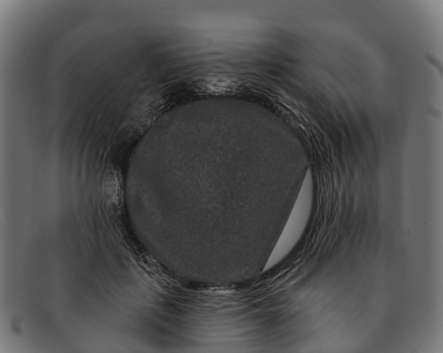 X0000091670651200709131529