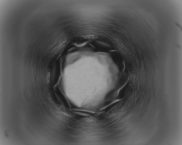 X0000091670652200709131529