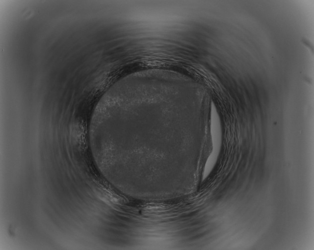 X0000091670653200709131529