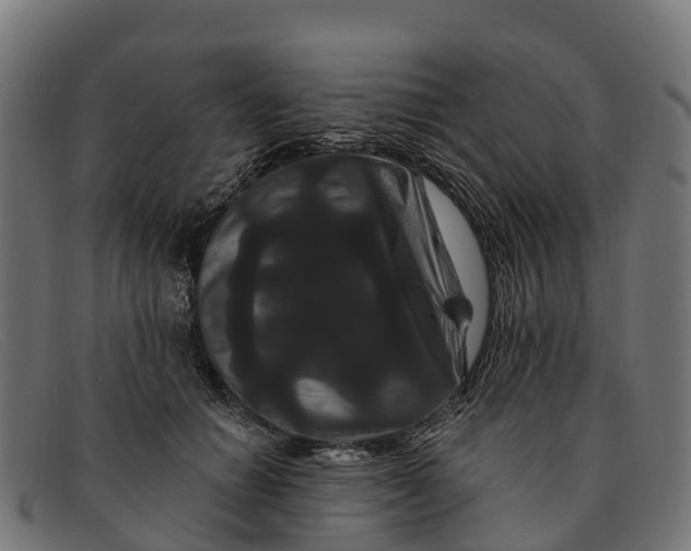 X0000091670654200709131529