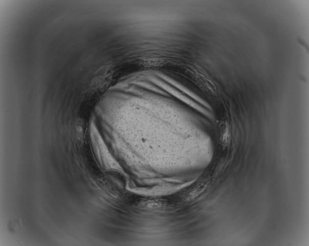 X0000091670655200709131529