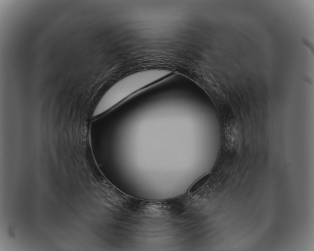 X0000091670657200709131529