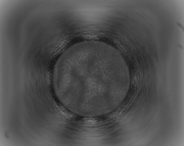 X0000091670658200709131529