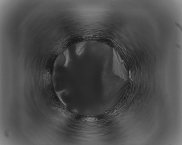 X0000091670659200709131529