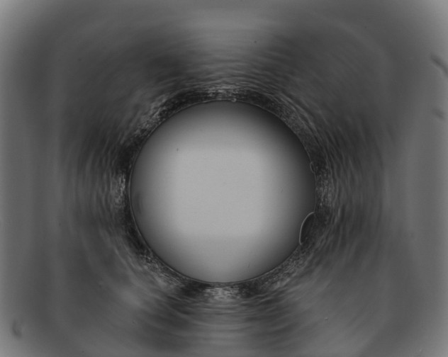 X0000091670660200709131529