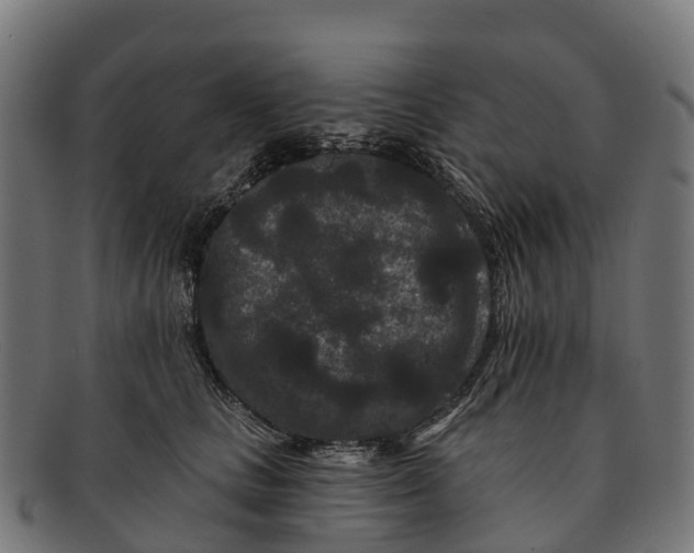 X0000091670661200709131529