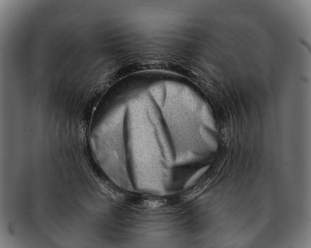 X0000091670662200709131529