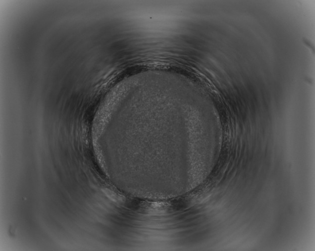 X0000091670663200709131529