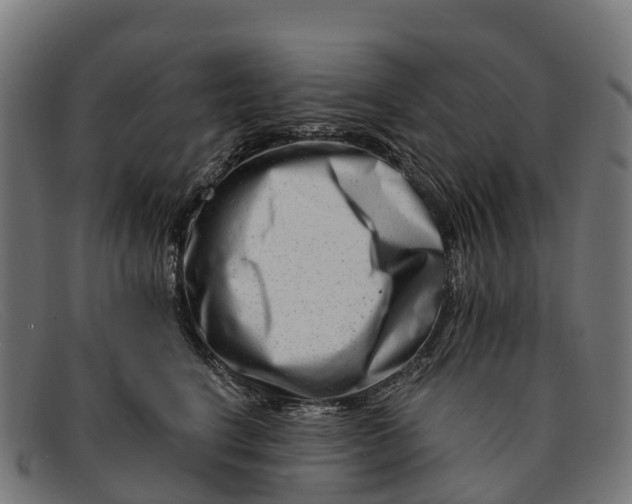 X0000091670664200709131529