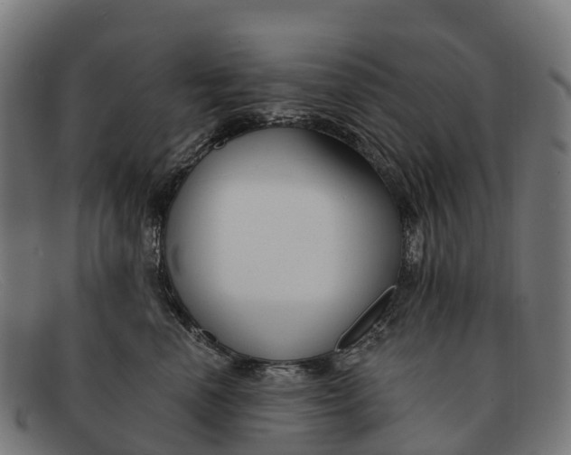 X0000091670666200709131529