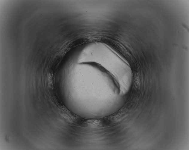 X0000091670667200709131529