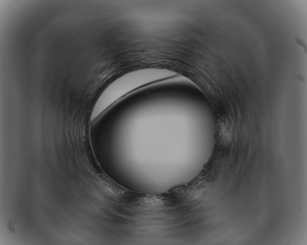 X0000091670668200709131529