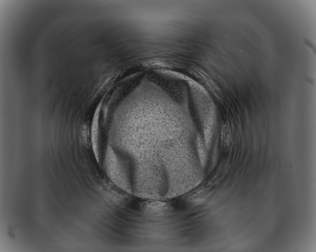 X0000091670669200709131529