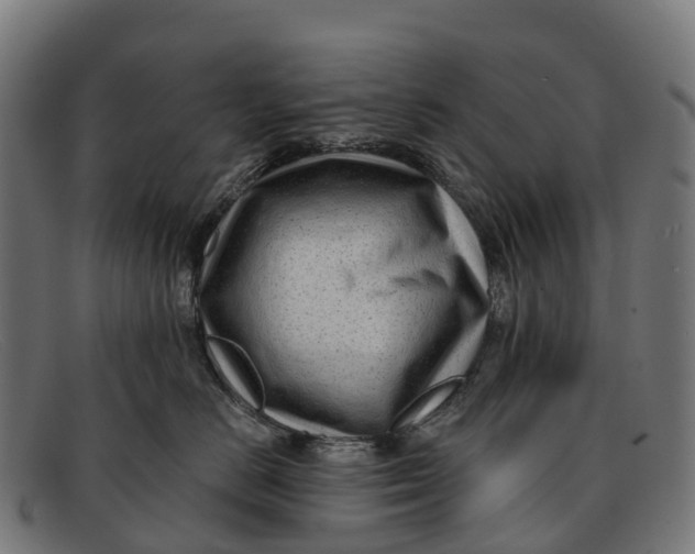 X0000091670670200709131529